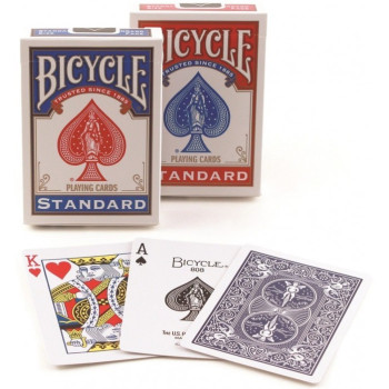Cards Rider Back International Standard index