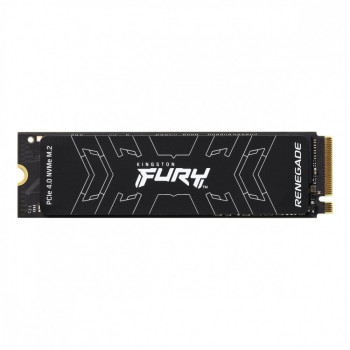 SSD drive FURY Renegade 1000G PCIe 4.0 NVMe M.2