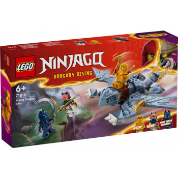 Blocks Ninjago 71810 Young Dragon Riyu