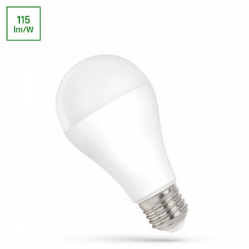LED bulb GLS E27 20W CW 230V