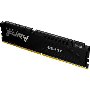 Kingston | 16 GB | DDR5 | 6000 MHz | PC/server | Registered No | ECC No