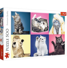 Puzzle Kittens 500 pcs