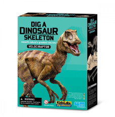 4m Excavations - Velociraptor
