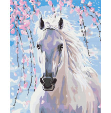 Picture Paint it! Painting by numbers Horse in cherry blossoms