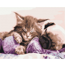 Picture Paint it! Painting by numbers Cat and dog