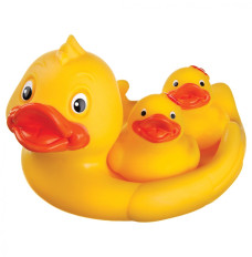Soap dish Bath duck