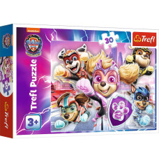 Puzzle 30 elements Citys Heroes Paw Patrol