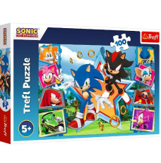 Puzzle 100 pieces Meet Sonic 