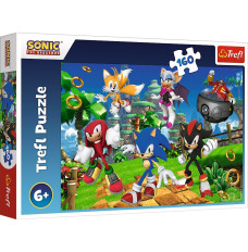 Puzzles 160 elements Sonic and friends