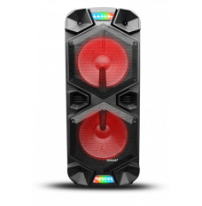 Party speaker APA30 Bluetooth Karaoke