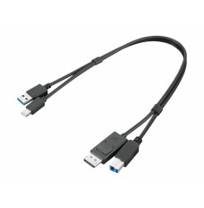 Lenovo ThinkStation mDP + USB-A 3.0 to DP + USB-B 3.0 Dual Head Cable 0.43 m