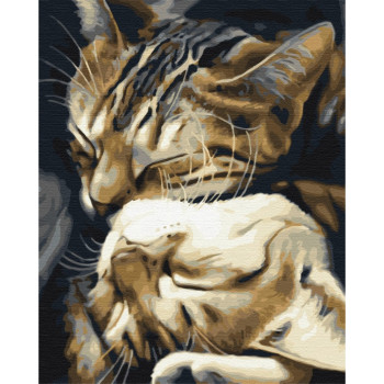 Picture Paint it! Painting by numbers Sleeping cats