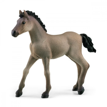 Figure Criollo Definitivo, foal