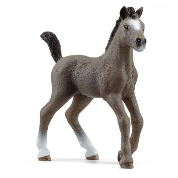 Figurine Cheval de Selle Francais Foal