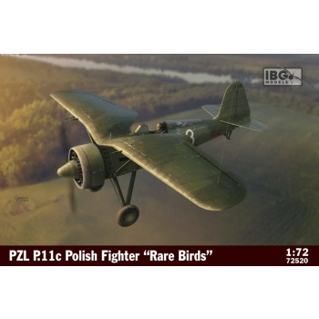 Plastic model PZL P.11c Polish Fighter in Rare Birds 1 72