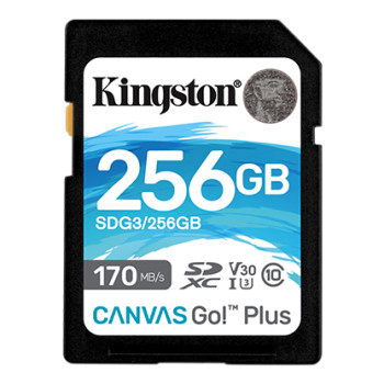 Kingston Canvas Go! Plus 256 GB, SD, Flash memory class 10