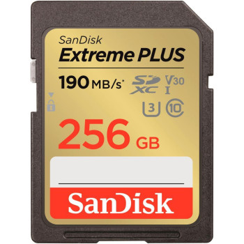 MEMORY SDXC 256GB UHS-1/SDSDXWV-256G-GNCIN SANDISK