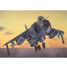FRS.1 Sea Harrier