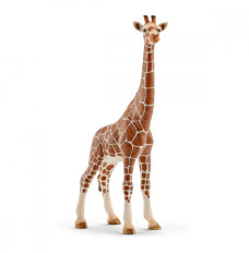 Figure Giraffe, female