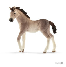 Foal of the Andalusian Race