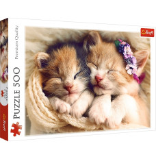 Puzzles 500 elements sleeping cats