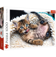 Puzzles 1000 elements Cheerful kitten