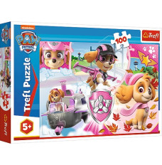 Puzzle 100 pcs - Paw patrol, Skye in action