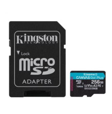 Memory card microSD 256GB Canvas Go Plus 170 90MB s Adapter