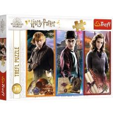 Puzzles 200 elements World of magic Harry Potter