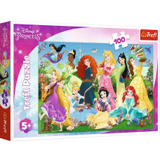 Puzzles 100 elements Charming princesses