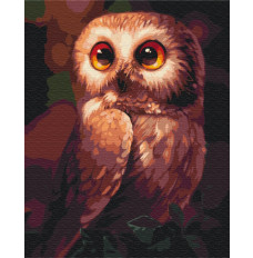 Picture Paint it! Painting by numbers Owl