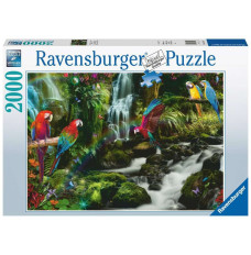 Puzzle 2000 elements: Jungle parrots