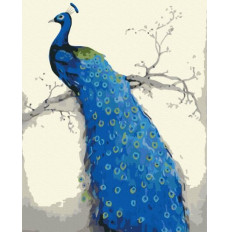 Obraz Malowanie po numerach - Niebieski paw