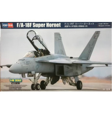 Plastic model F A-18F Super Hornet