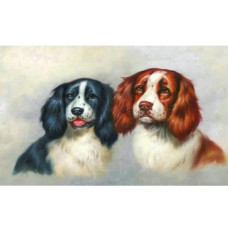 Diamond Mosaic - Dogs portrait