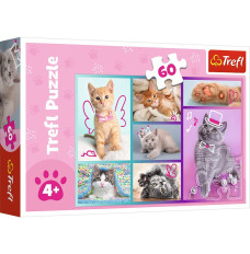 Puzzle 60 elements Cute kittens