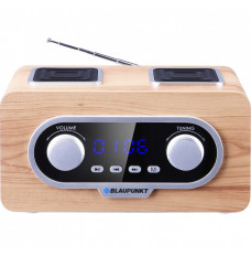 Portable radio FM PLL SD USB AUX with battery and clock