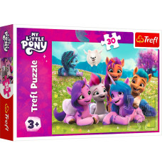 Puzzle 30 elements Friendly ponies My Little Pony