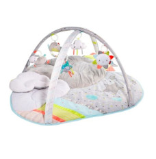 Silver Lining Cloud Activity Gym New