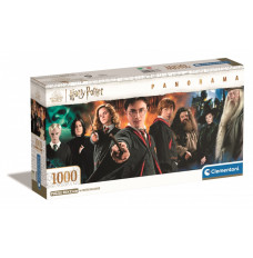 Puzzles 1000 elements Panorama Compact Harry Potter