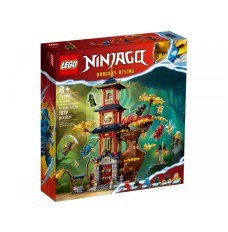 Bricks Ninjago 71795 Temple of the Dragon Energy Cores