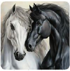 Diamond mosaic - Two horses