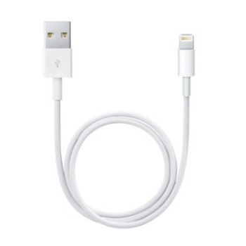 Lightning to USB cable (0.5 m) ME291ZM A 