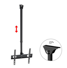 Mount TV 50kg MC-631 Maclean