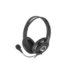Bear 2 headset with black microphone