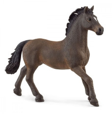 Figure stallion Oldenburg Horse Club