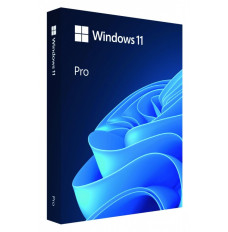 Windows Pro 11 PL Box 64bit USB HAV-00209 substitute P N: HAV-00126