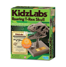 Educational kit Dino Skull
