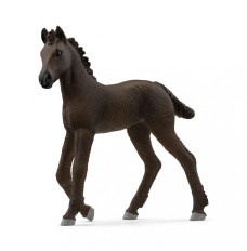 Figure Friesian Foal