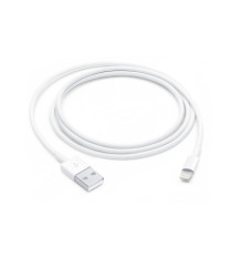 Lightning to USB cable (1 m)